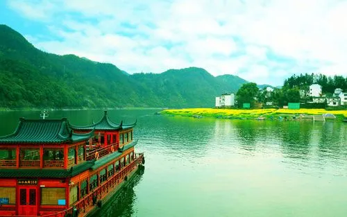 高标准独特